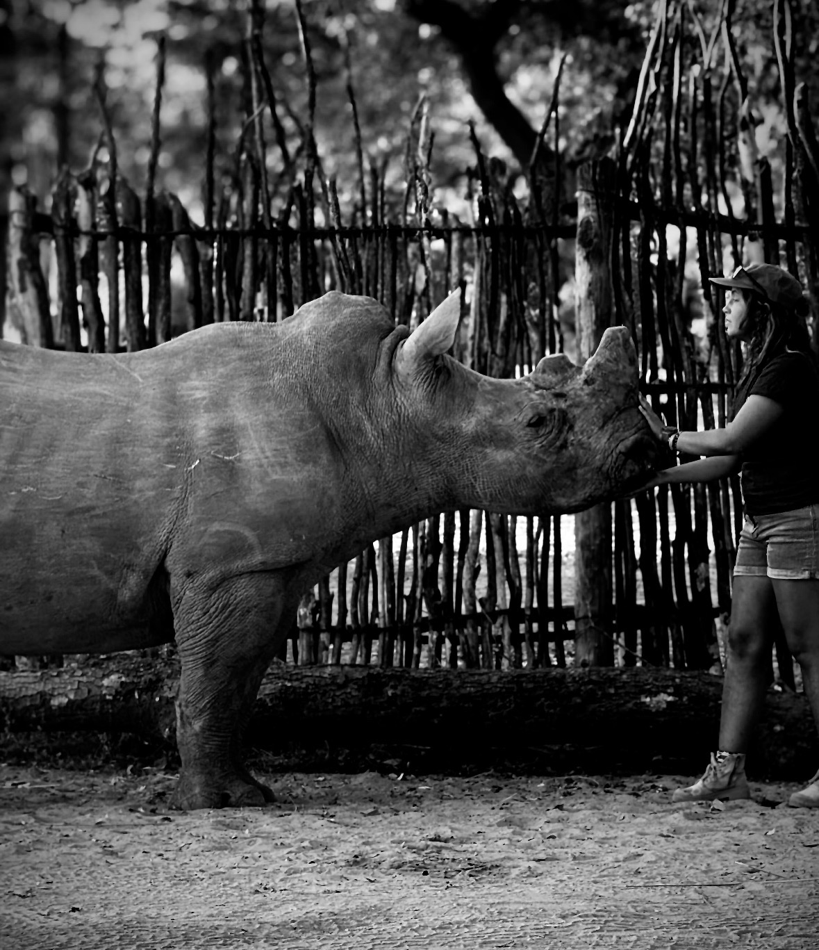 Barbara Ferreira with a rhino